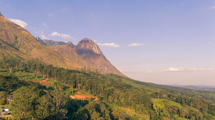 Scenic mountain landscape with lush forest slopes and distant peaks under a soft pastel evening sky.