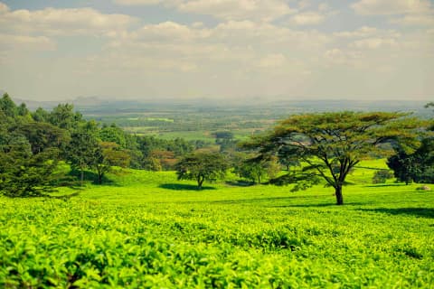 4-Day Mountain Peaks & River Safari Adventure: Discover the Best of Mulanje and Liwonde