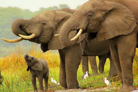 Why Visit Malawi