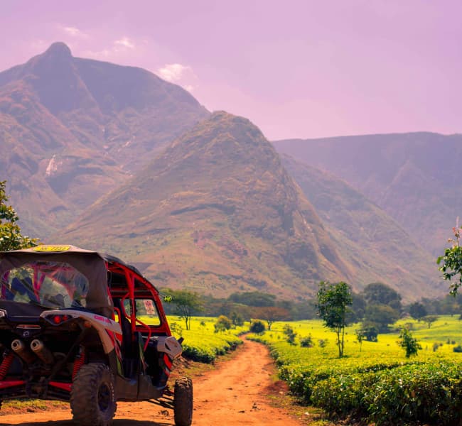 Off-road ATV parked on a dirt path surrounded by lush green tea fields and the towering Mulanje Mountain in the background.
